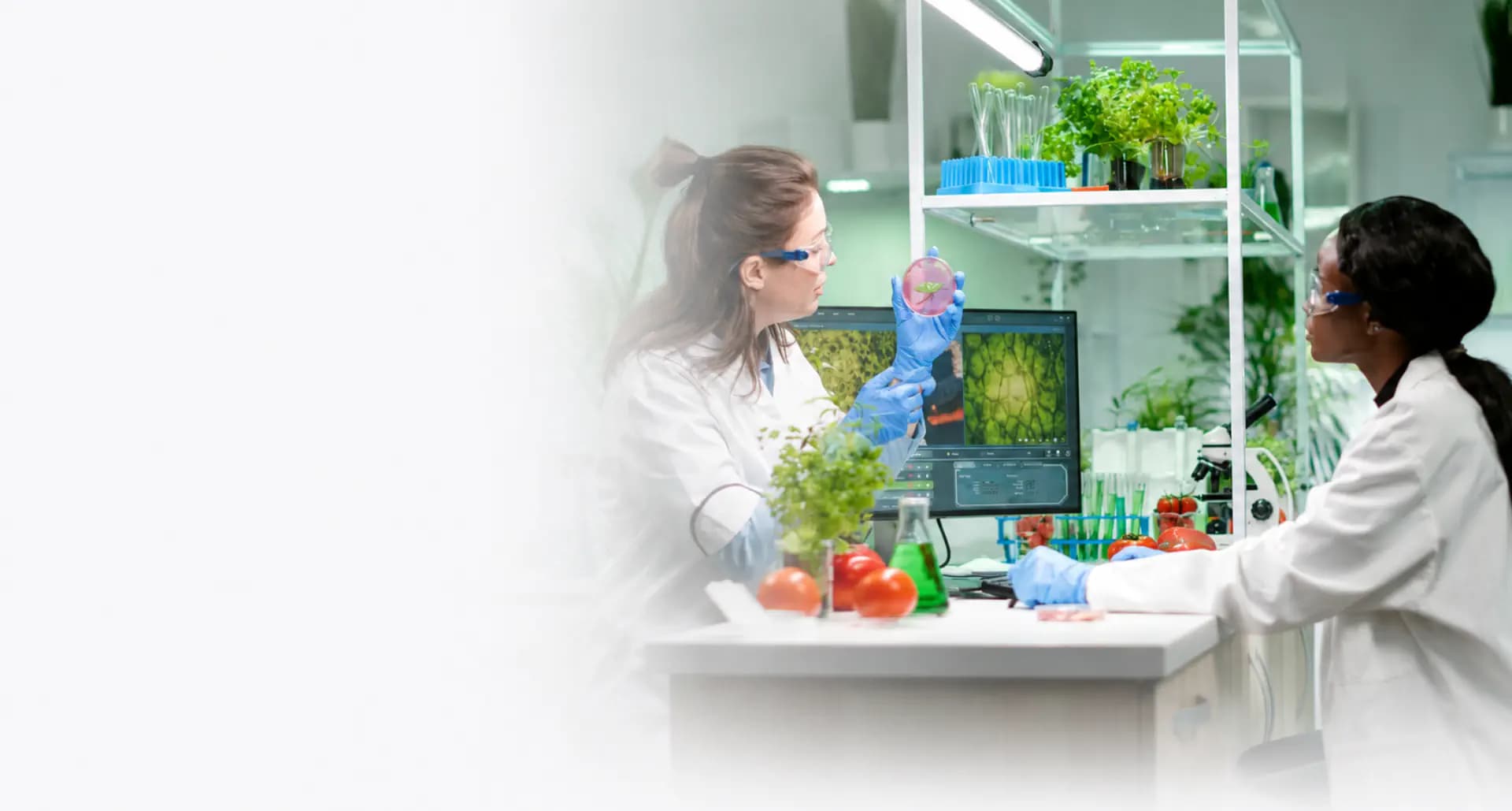 nutraceutical banner